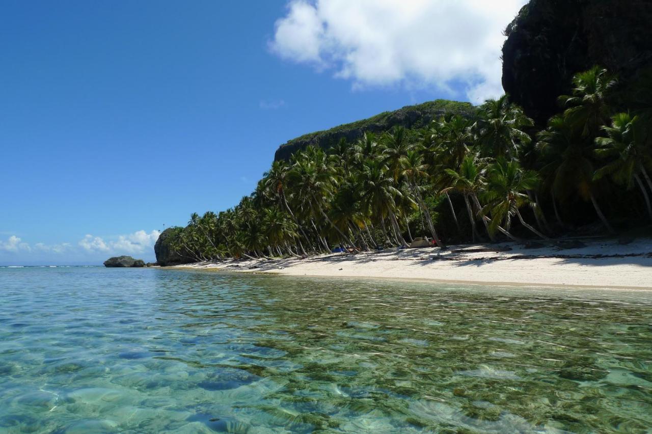 Apart-Hotel Garden Villa Las Galeras Eksteriør bilde